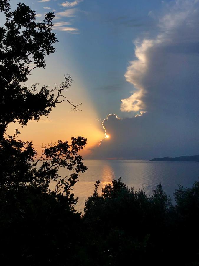 Hotel Kuca Radovic Budua Esterno foto